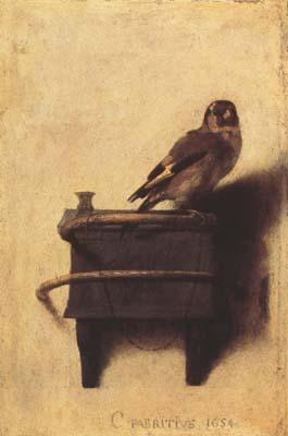 FABRITIUS, Carel The Goldfinch (mk08) France oil painting art